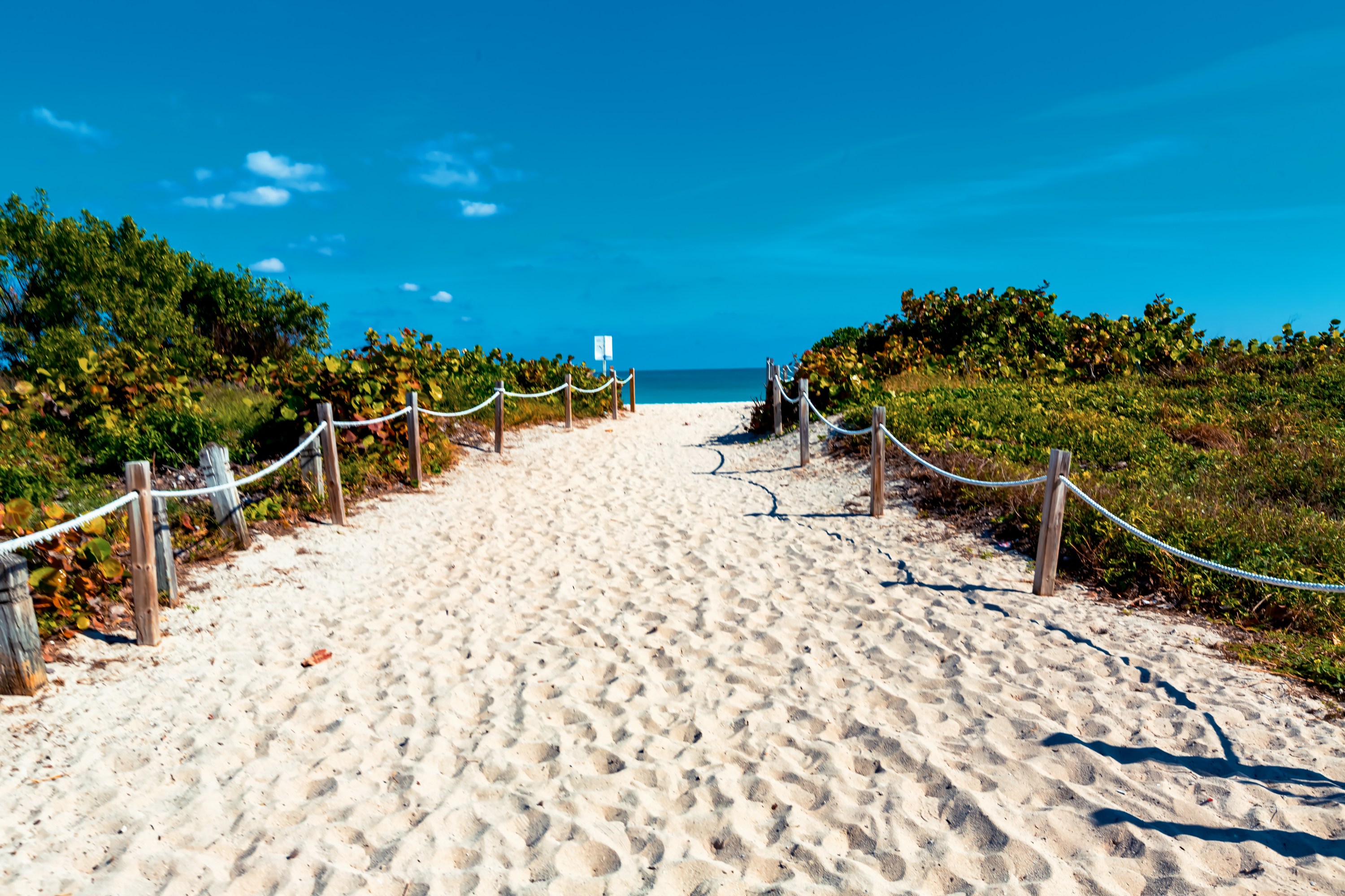 Sandy beach path lined with ropes leads to blue sea under clear sky.