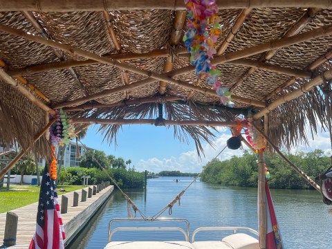 View from under a tiki hut roof showing a river with trees and buildings along the bank.