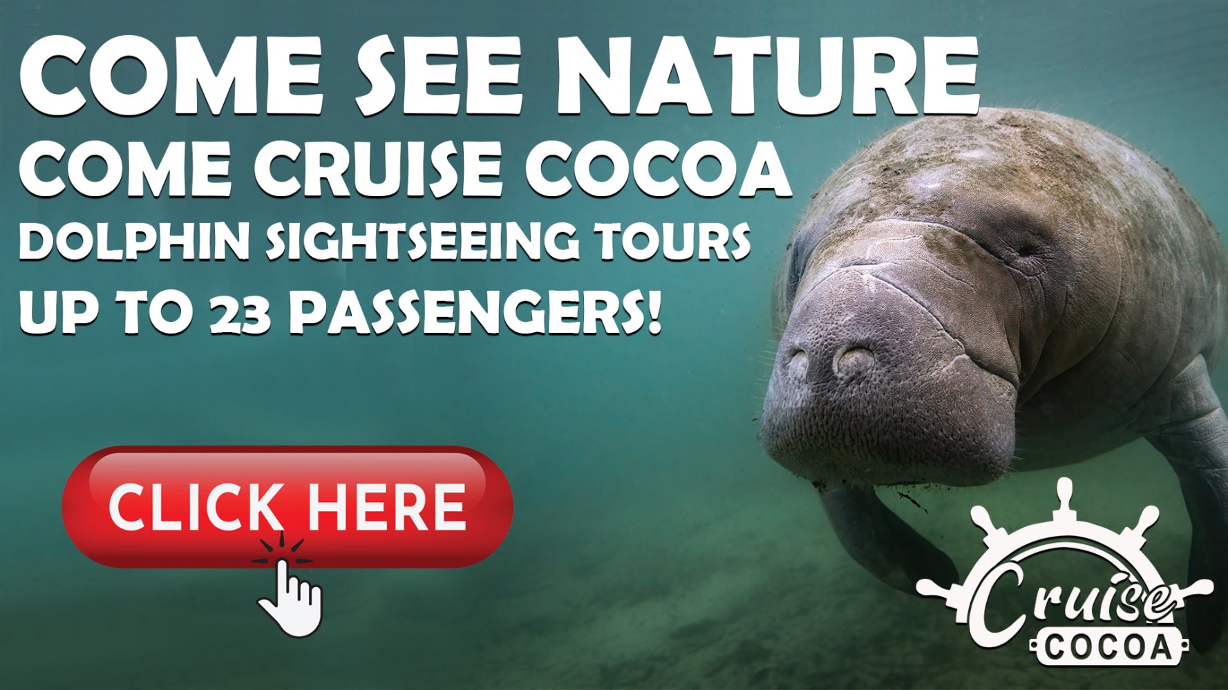 Advertisement featuring a manatee for dolphin tours, includes 'Click Here' button.