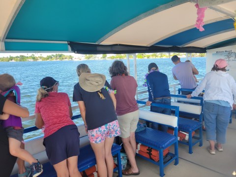 People on a boat observing water and distant shoreline.