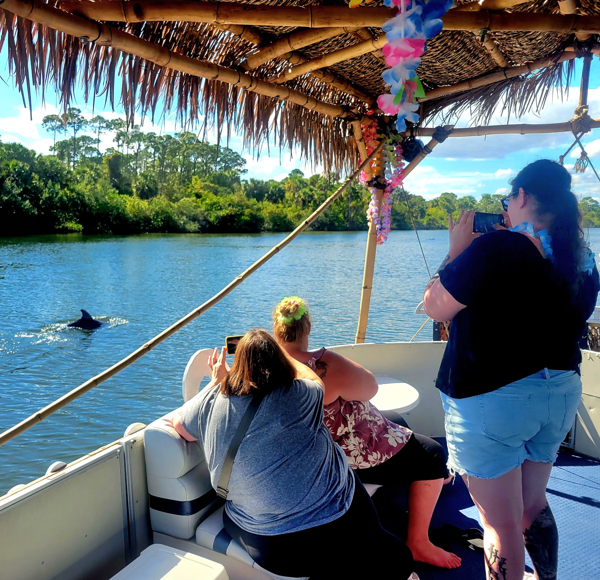 People on a boat photographing a dolphin fin in a river with trees and blue sky.