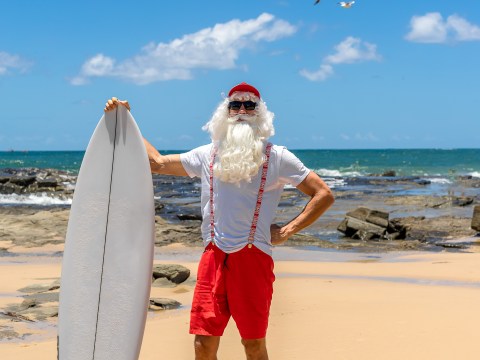 Person in Santa outfit holding a surfboard on a beach with blue sky and seagulls.