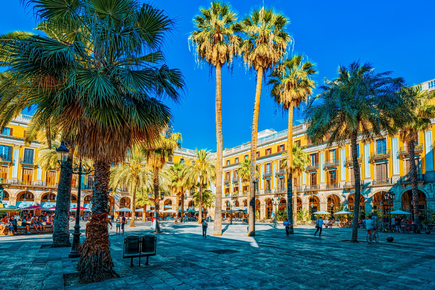 Sunny square with tall palm trees and historic buildings, people walking.