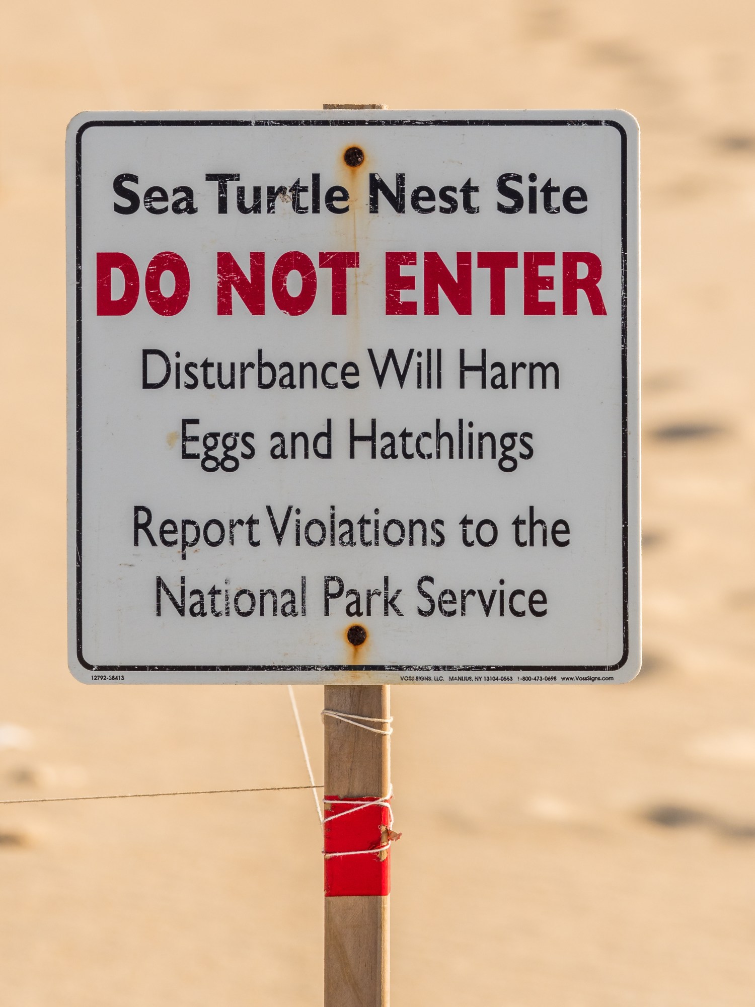 Sign on beach warns not to enter sea turtle nesting site; contact National Park Service for violations.