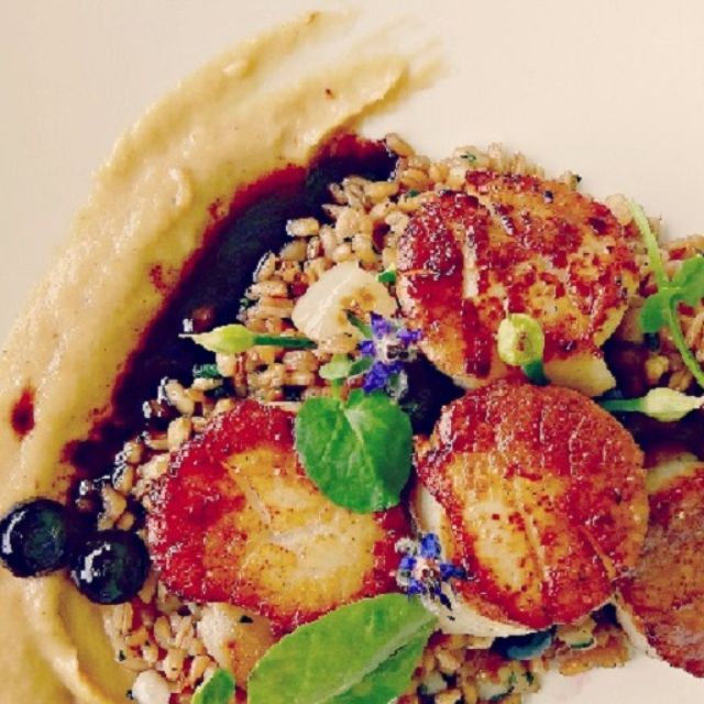 Seared scallops on grain salad with sauce smear and greens on a plate.