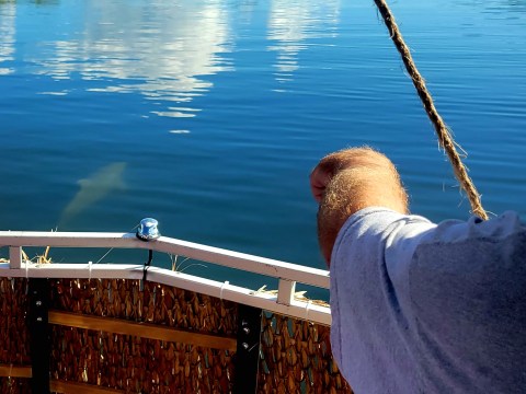 Person steering a boat on a calm river with green trees on the banks.
