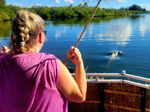 Woman with braided hair on a boat looks at dolphins in the water under a clear blue sky.