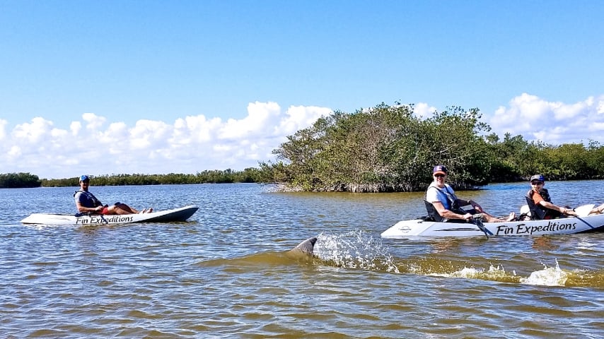 Three people kayaking in a lake with a dolphin fin visible near them.