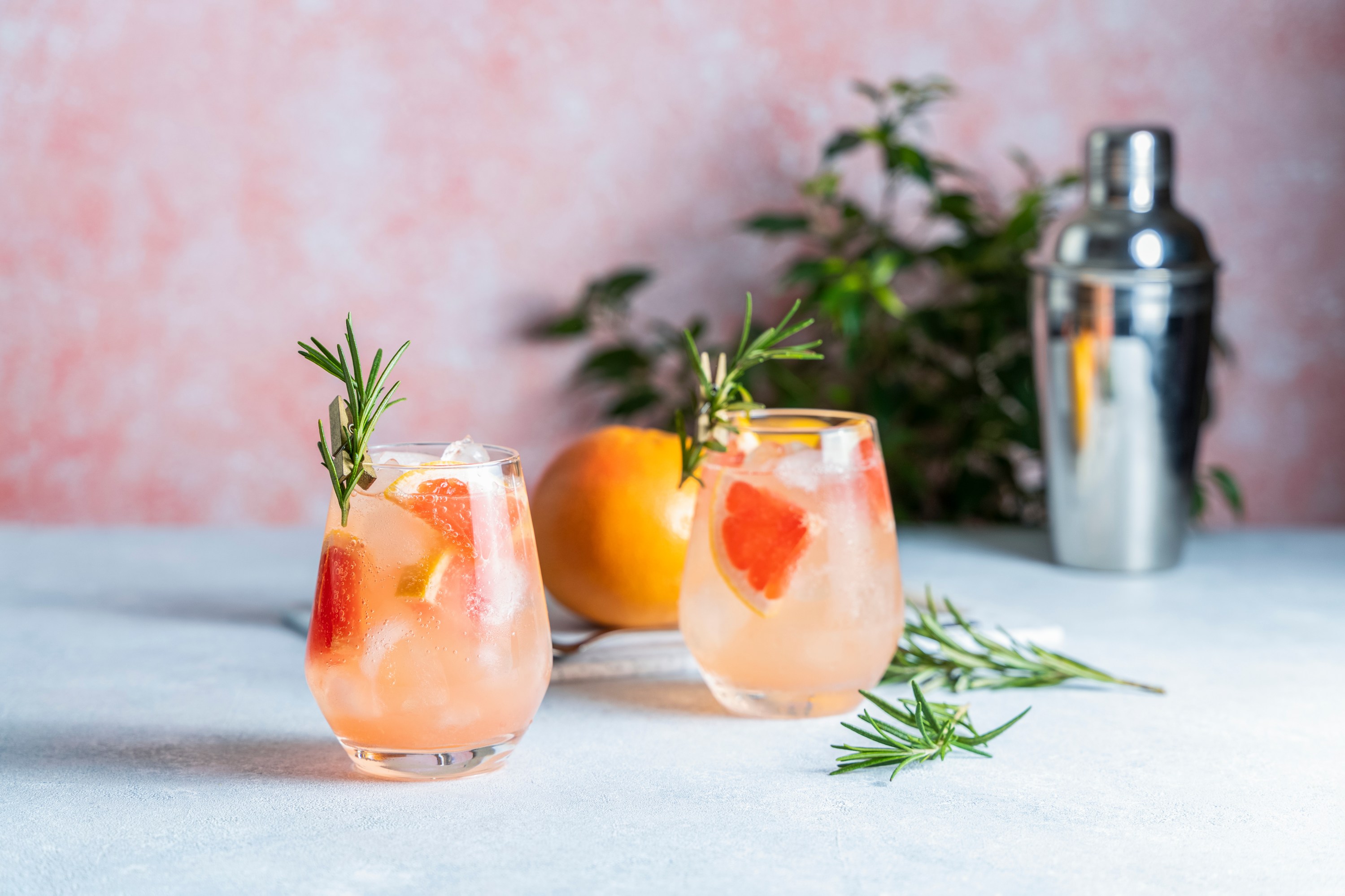Two grapefruit cocktails with rosemary garnish, shaker, and pink background.