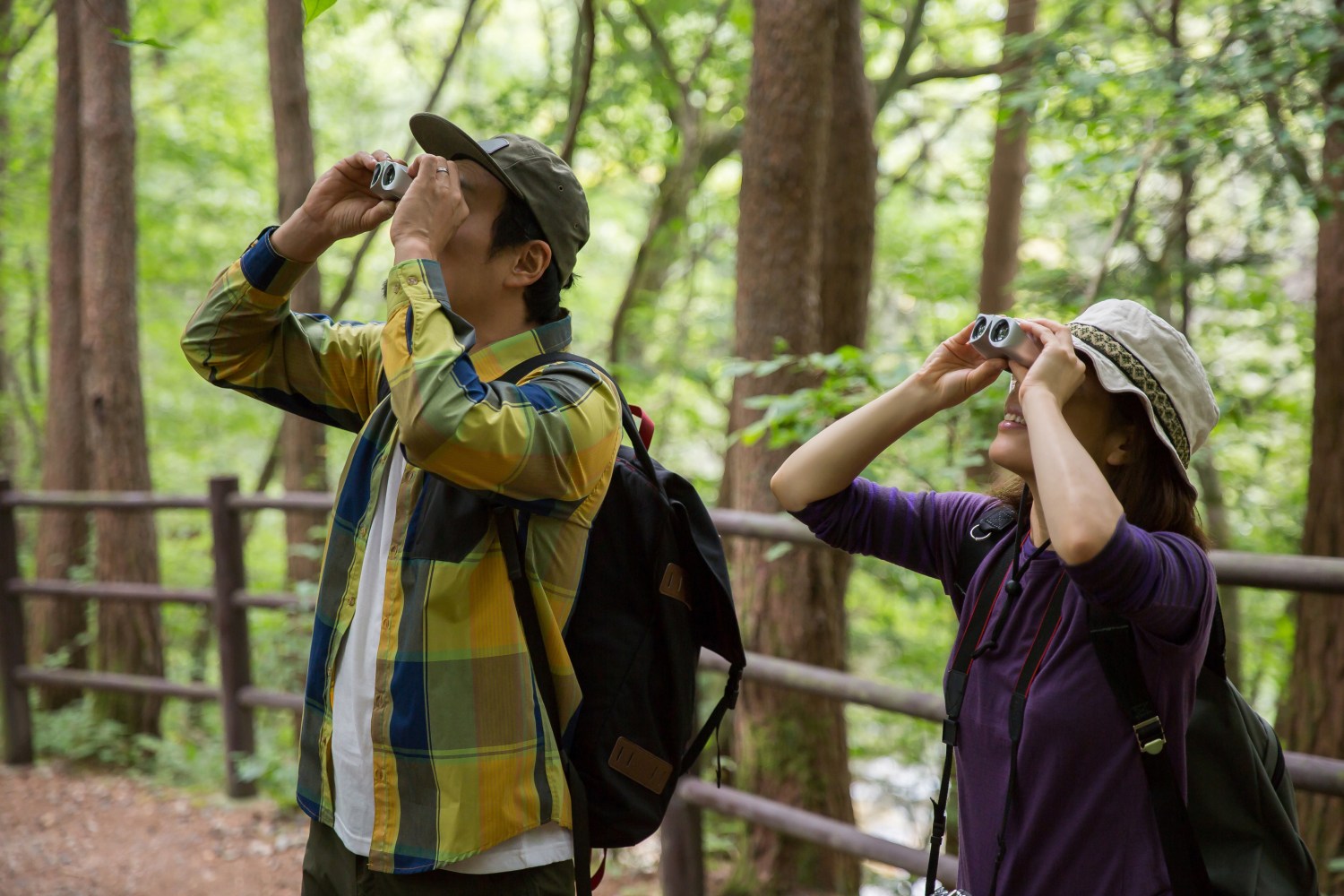 Two people with binoculars birdwatching in a forest.