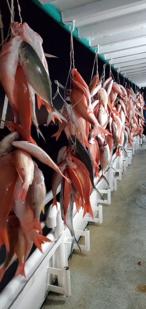 Rows of red and silver fish hanging by strings on a boat deck at night.