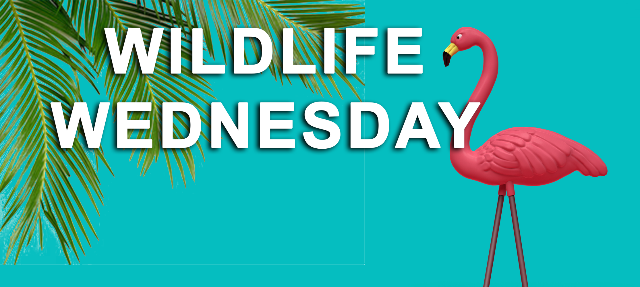 wildlife wed banner
