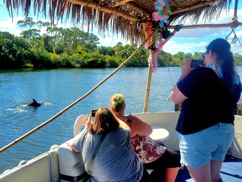 People on a boat taking photos of a dolphin in a river.