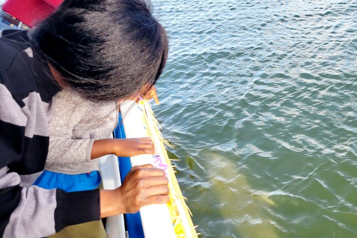 People leaning over a boat railing, looking at water below.