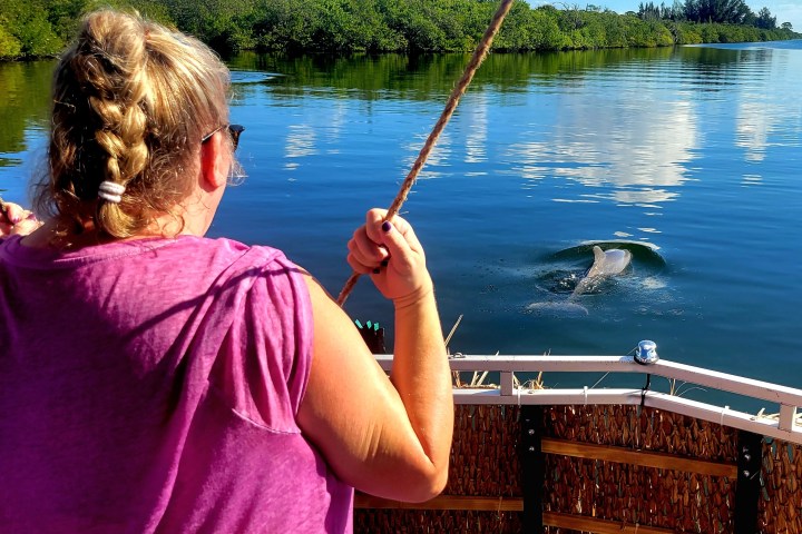 Person holding a rope on a boat, observing a dolphin in the water.