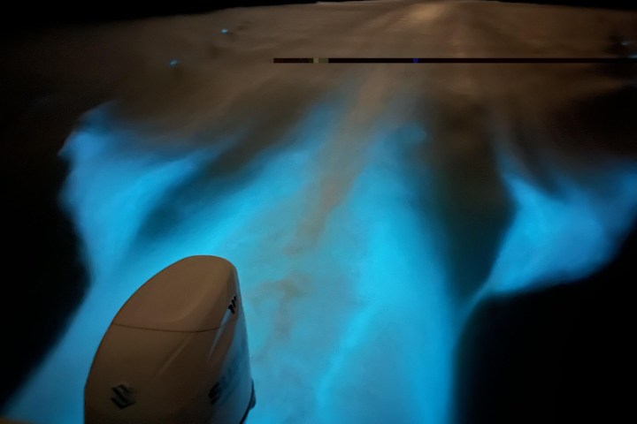 Boat motor surrounded by glowing blue bioluminescent water at night.