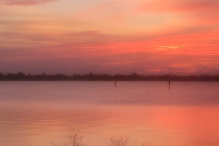 Pink and orange sunset over calm water with silhouetted bushes in foreground.