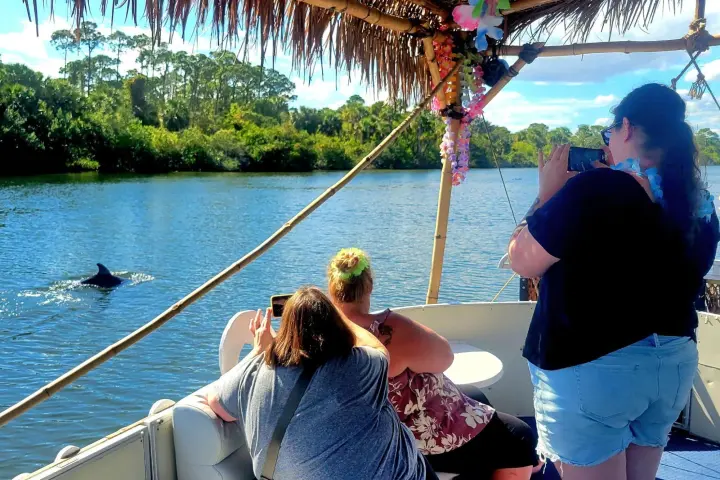 People on a boat watch and photograph a dolphin swimming in the river.