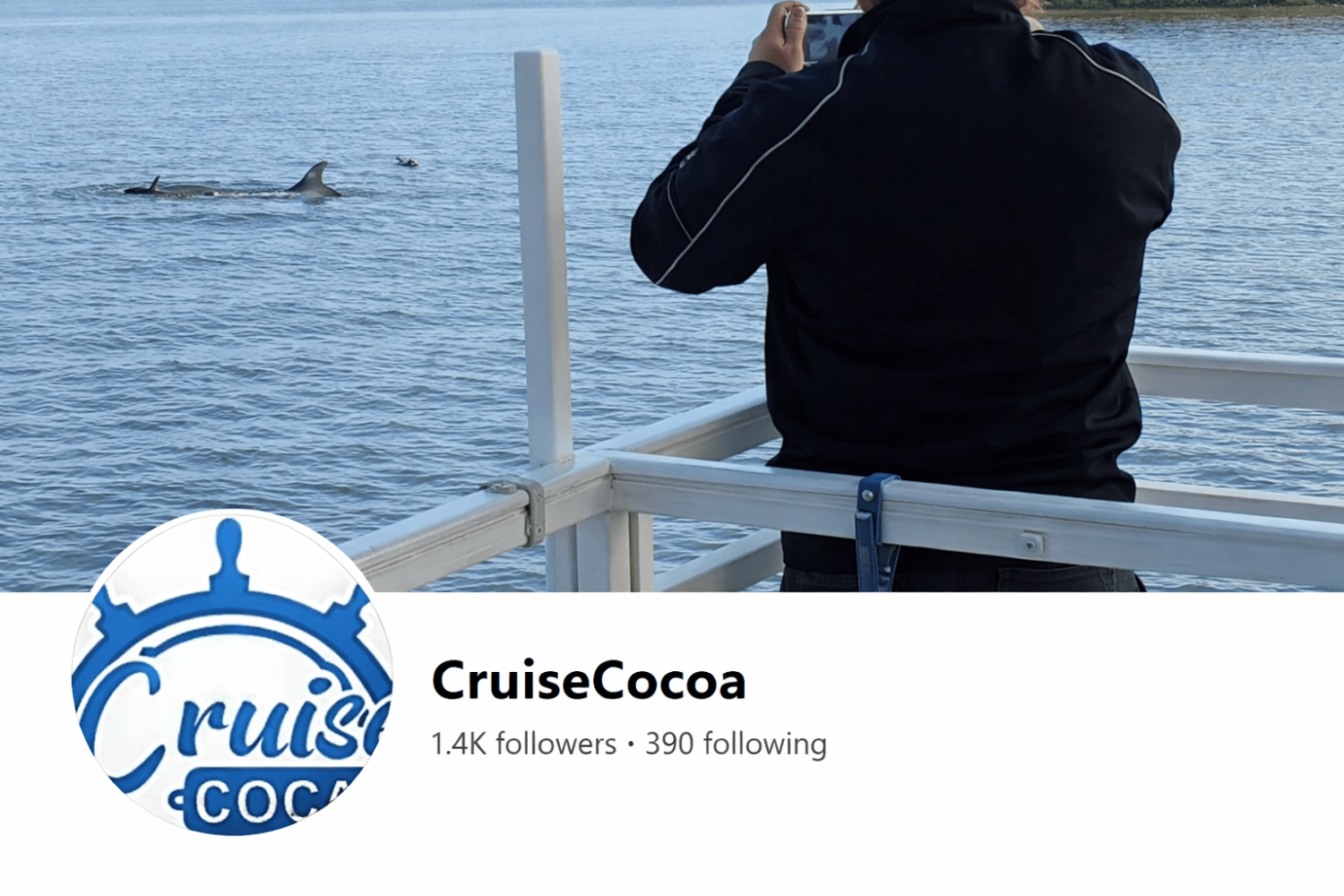 Person on a boat taking photo of dolphins in the water.